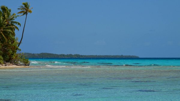 Comparatif des meilleurs organismes de croisière de plongée